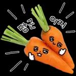 청과물 그리고 눈빛