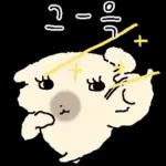 흘긋흘긋 털강아지