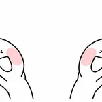 헤데라 아시나요??