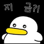 꽉꽉꽉! 여섯 번째 곽철이