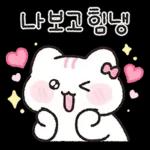 사랑은 반짝인다냥 4 (분냥이.ver)
