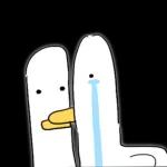 맹한 오리녀석들