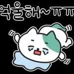 낙천가고양이 민트냥