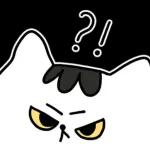 찌코는 안친해!