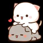 찐 러브액션 (여친ver.)