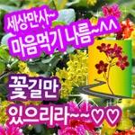 인생에 덕담 한 잎~,,,