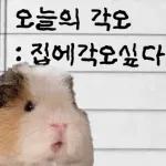 기여븐 기니햄짤.zip