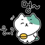 낙천가고양이 민트냥