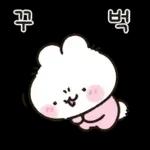 사랑둥이 애기토끼 앙토!