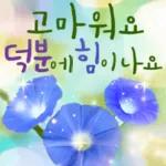 플라워힐링메세지 2