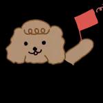 냐냐
ㅇㅇ
JUD
סגJ