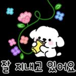 콩이의 꽃처럼 예쁜 말