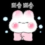 오동오동 귀욤찐 밀크티토끼