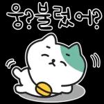 낙천가고양이 민트냥