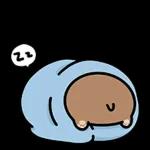 오동통통 서달이 등장! 7 