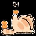 말랑뽀짝 냐냐들의 일상