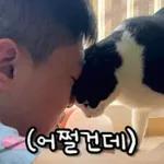 고양이는 안 바빠🐾	 그런데 잘 살잖아