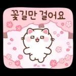 뿌니의 향기로운 꽃인사