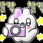 뽀랑이 귀염리액션~^v^