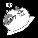 점냥아 오늘만 참자