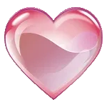 ❤️🌹진심과 장미	너에게만～