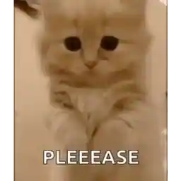 더럽토끼는 축하에 진심