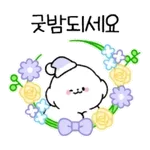 🧸꿈나라 여행 시작~🧸	잘자용~✨