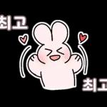 울망이는 고양이의 크리스마스