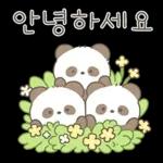 단쥬는 친절하쥬