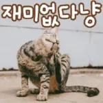 고양이다냥
