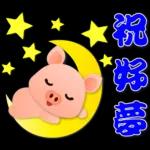 可愛粉粉豬 - 日常實用語