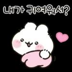 사랑둥이 애기토끼 앙토!