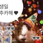 기여븐 기니햄짤.zip