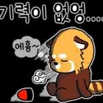알려줄게 알림랫서
