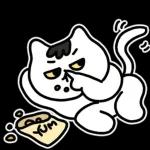 찌코는 안친해!