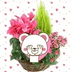 🌹	장미보다 예쁜 너