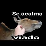 Bora capina um lote !!