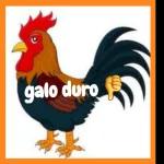 galo