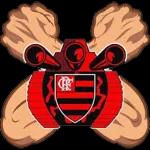 Flamengo⚽️