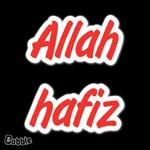 في أمان الله