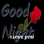 good night 🌉 pic