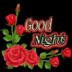 good night 🌉 pic