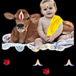 अशोक पाटील