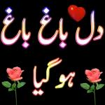 اسلام وعلیکم