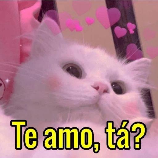 hjjuji
