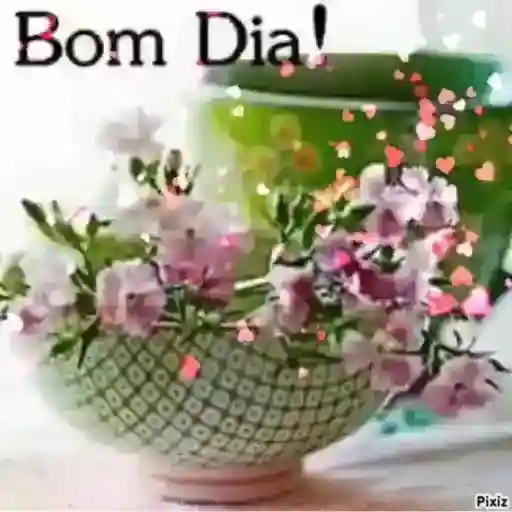 Bom dia! Que Deus abençoe seu dia!
