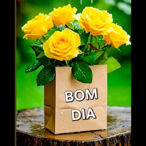 Bom Dia 
