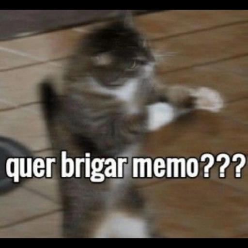 quer brigar memo???
