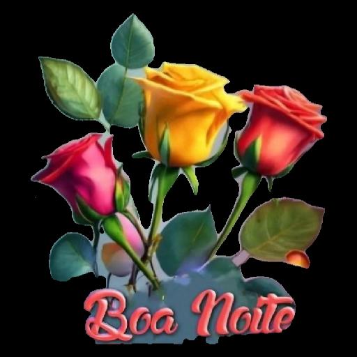Boa noite