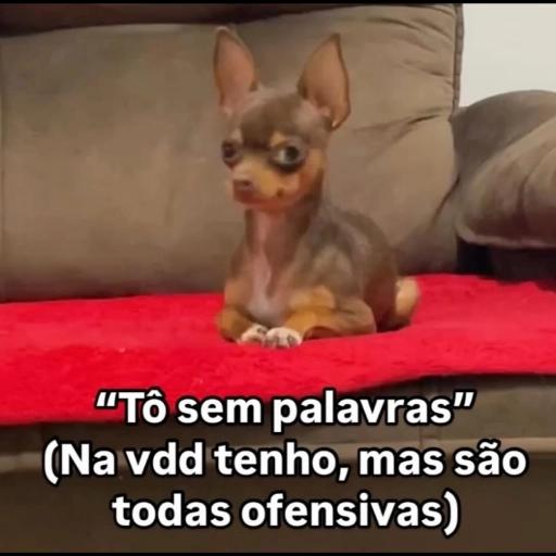 INTERESSANTE
